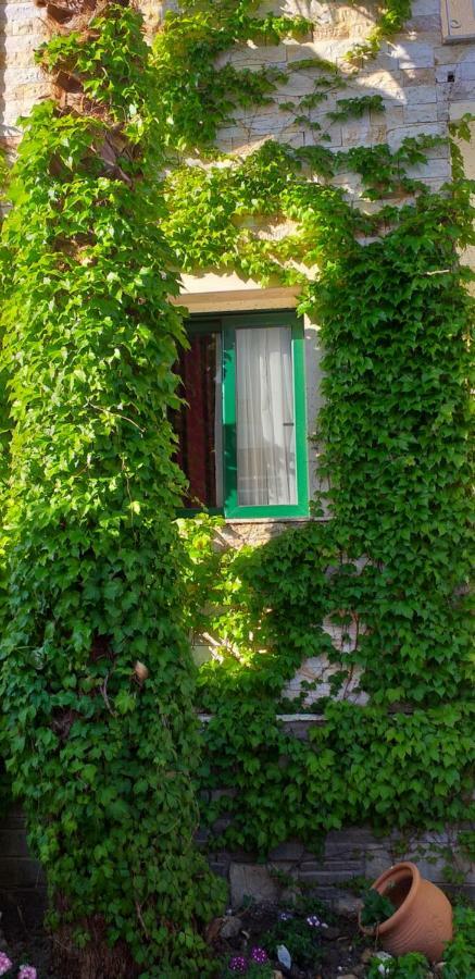 Philoxenia Hotel & Villas Pefkochori Bagian luar foto